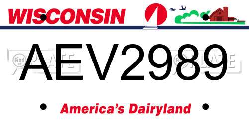 AEV2989 Wisconsin License Plate