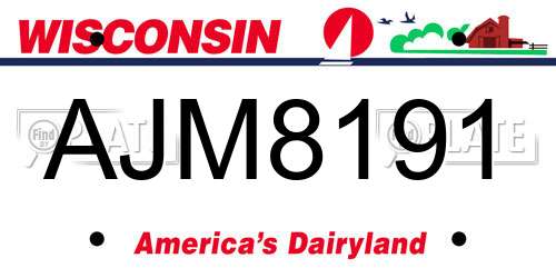 AJM8191 Wisconsin License Plate