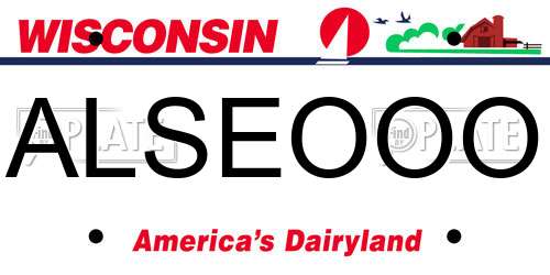 ALSEOOO Wisconsin License Plate