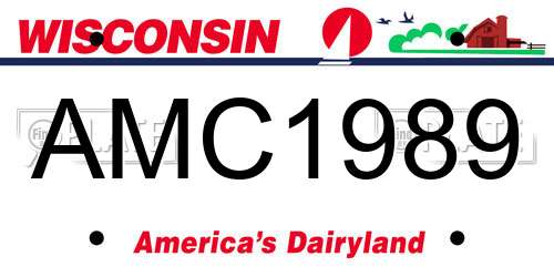AMC1989 Wisconsin License Plate