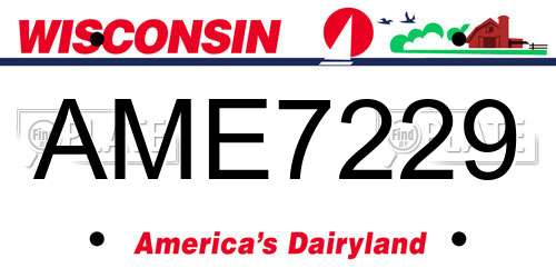 AME7229 Wisconsin License Plate