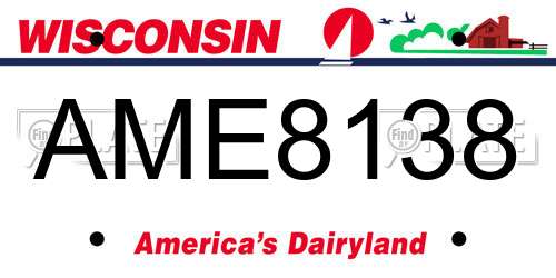 AME8138 Wisconsin License Plate