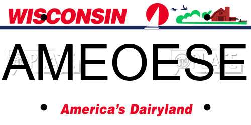 AMEOESE Wisconsin License Plate