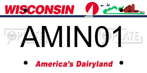 AMIN01 Wisconsin License Plate