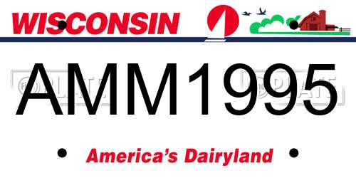 AMM1995 Wisconsin License Plate