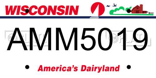 AMM5019 Wisconsin License Plate
