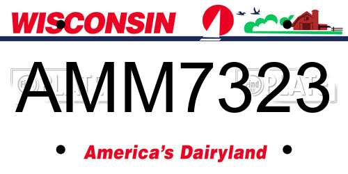 AMM7323 Wisconsin License Plate