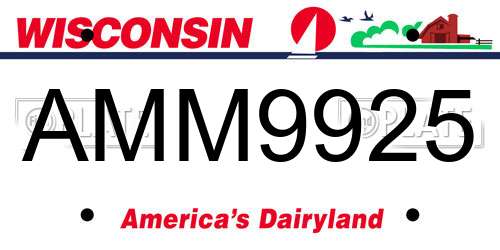 AMM9925 Wisconsin License Plate