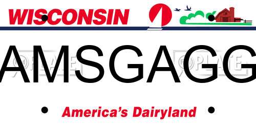AMSGAGG Wisconsin License Plate