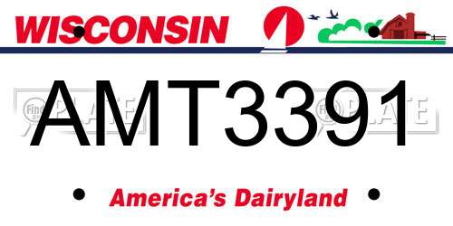 AMT3391 Wisconsin License Plate