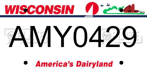 AMY0429 Wisconsin License Plate