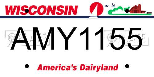 AMY1155 Wisconsin License Plate