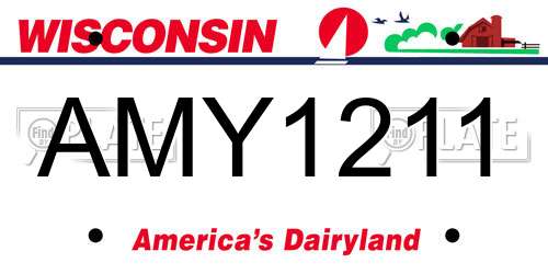 AMY1211 Wisconsin License Plate