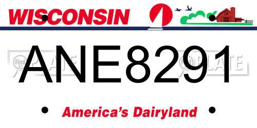 ANE8291 Wisconsin License Plate