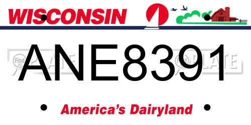 ANE8391 Wisconsin License Plate
