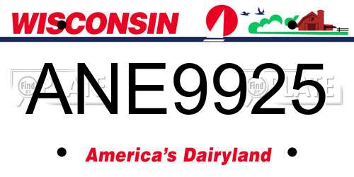ANE9925 Wisconsin License Plate