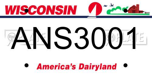ANS3001 Wisconsin License Plate