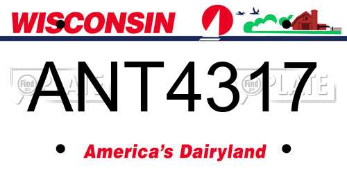 ANT4317 Wisconsin License Plate