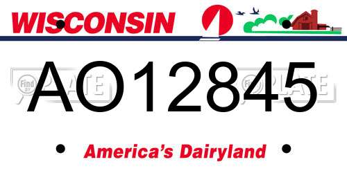 AO12845 Wisconsin License Plate