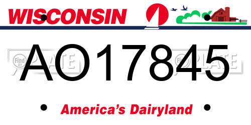 AO17845 Wisconsin License Plate