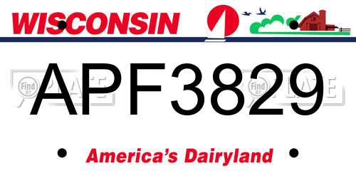 APF3829 Wisconsin License Plate