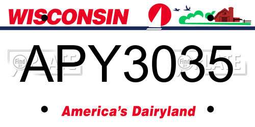 APY3035 Wisconsin License Plate