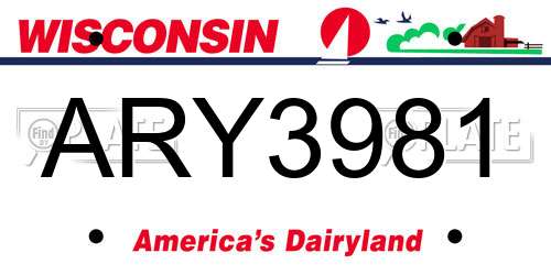 ARY3981 Wisconsin License Plate