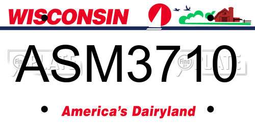 ASM3710 Wisconsin License Plate