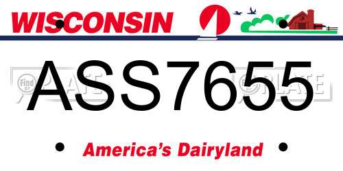 ASS7655 Wisconsin License Plate