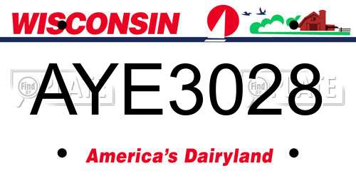 AYE3028 Wisconsin License Plate