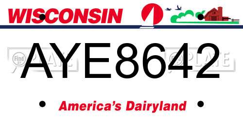 AYE8642 Wisconsin License Plate