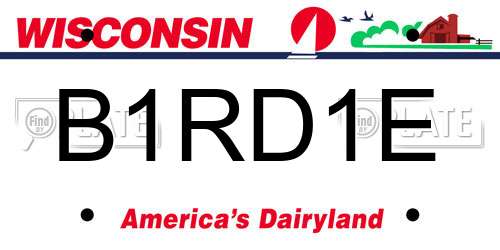 B1RD1E Wisconsin License Plate