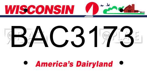 BAC3173 Wisconsin License Plate
