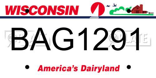BAG1291 Wisconsin License Plate