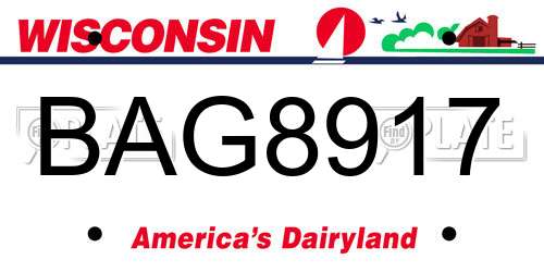 BAG8917 Wisconsin License Plate