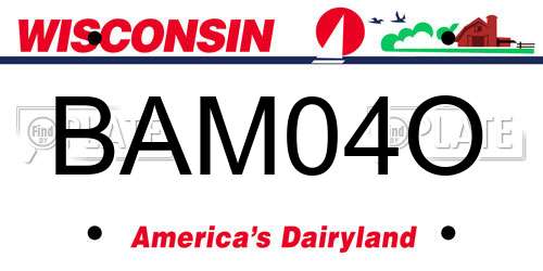 BAM04O Wisconsin License Plate