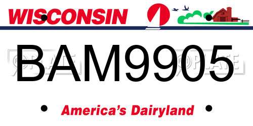 BAM9905 Wisconsin License Plate