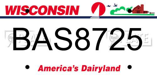 BAS8725 Wisconsin License Plate