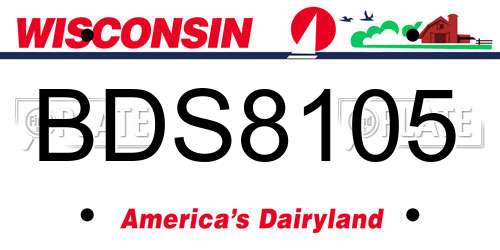 BDS8105 Wisconsin License Plate
