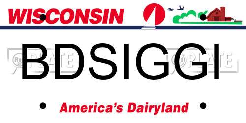 BDSIGGI Wisconsin License Plate