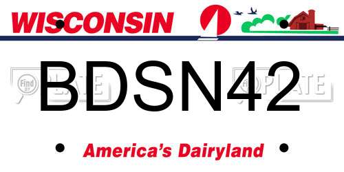 BDSN42 Wisconsin License Plate