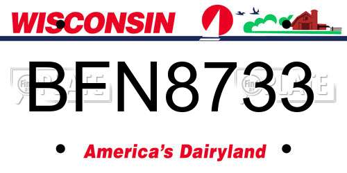 BFN8733 Wisconsin License Plate