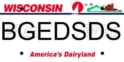 BGEDSDS Wisconsin License Plate