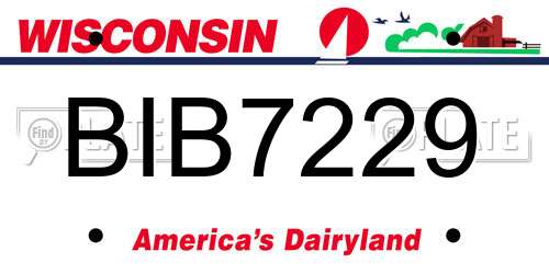 BIB7229 Wisconsin License Plate