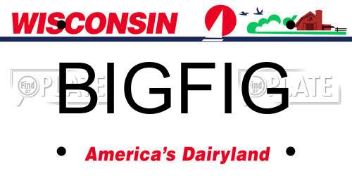 BIGFIG Wisconsin License Plate