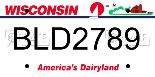 BLD2789 Wisconsin License Plate