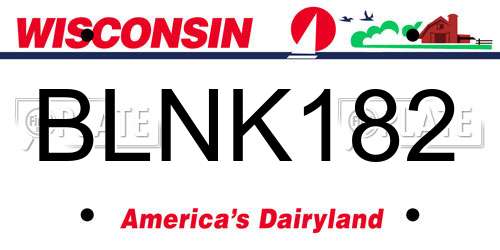 BLNK182 Wisconsin License Plate