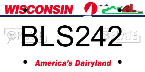 BLS242 Wisconsin License Plate