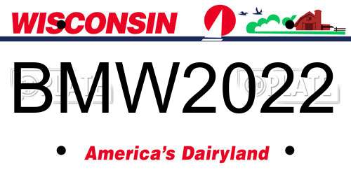 BMW2022 Wisconsin License Plate