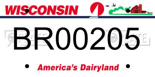 BR00205 Wisconsin License Plate